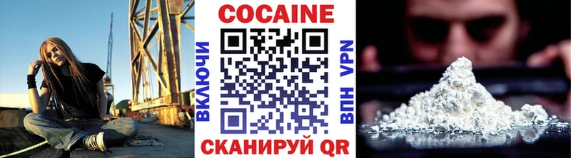 где можно купить наркотик  Камешково  мега зеркало  Кокаин Эквадор 