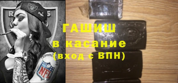 индика Бородино