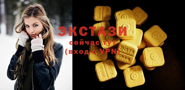 индика Бородино