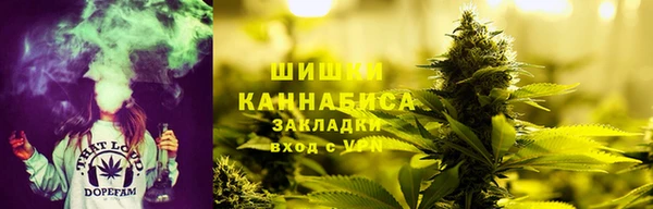 индика Бородино