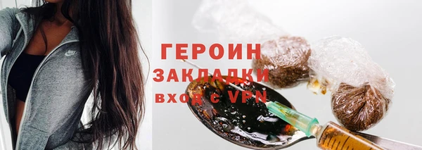 индика Бородино
