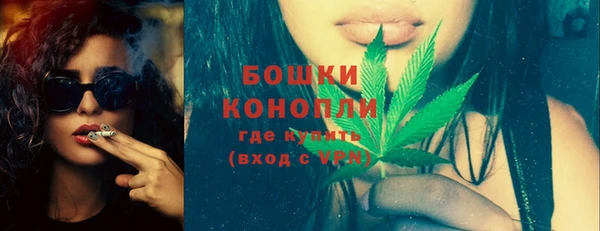 индика Бородино