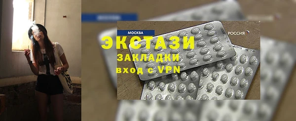 индика Бородино