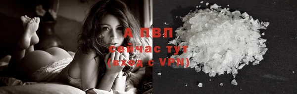 Альфа ПВП Верея