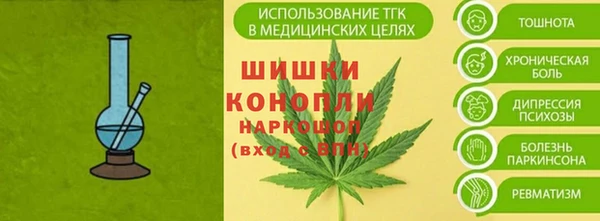 стаф Верхний Тагил