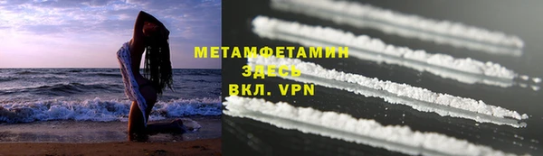 индика Бородино
