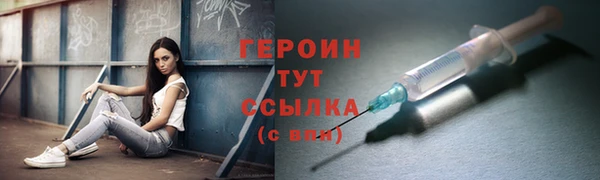 индика Бородино