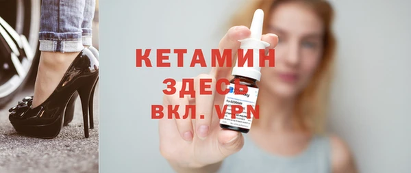 индика Бородино