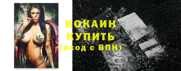 индика Верхнеуральск
