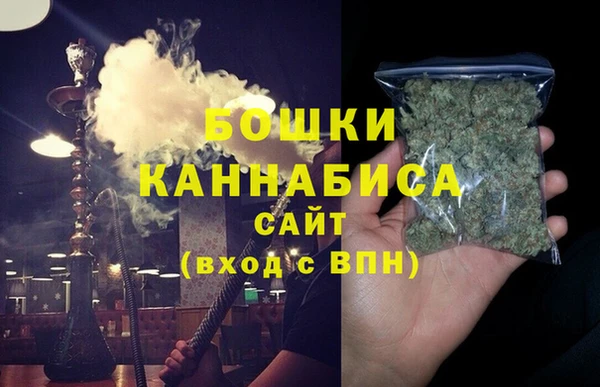 индика Бородино