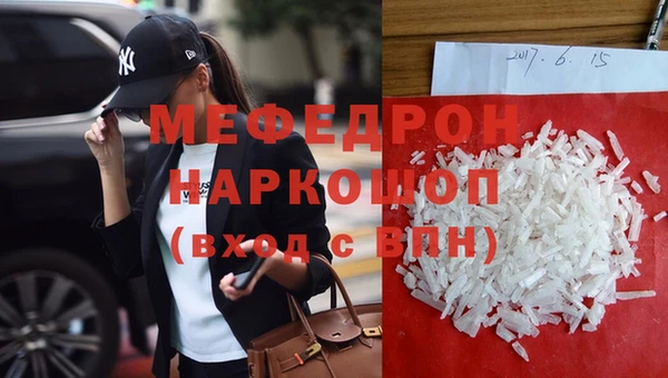 индика Бородино