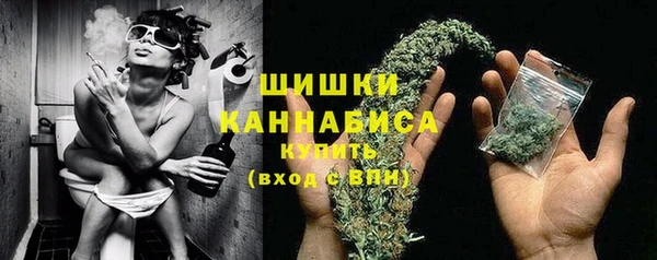 индика Бородино
