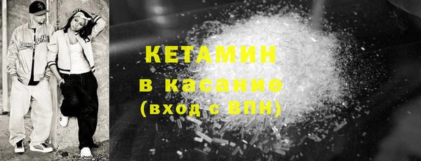 индика Бородино