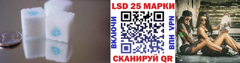 где купить наркотик  Камешково  LSD-25 экстази кислота 