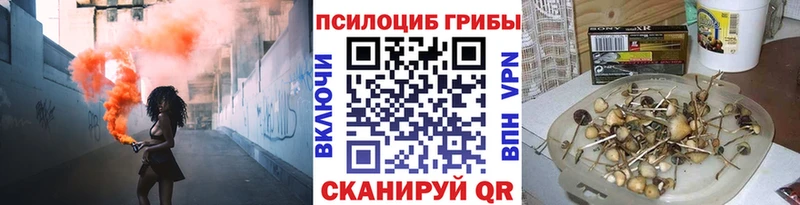 Псилоцибиновые грибы прущие грибы  купить закладку  блэк спрут как зайти  Камешково 